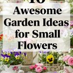 10 Awesome Garden Ideas for Small Flowers