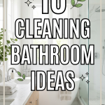 10 Cleaning Bathroom Ideas